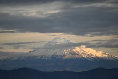 DSC_0111 (Large).JPG